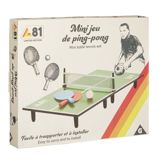 Mini Table de ping pong
