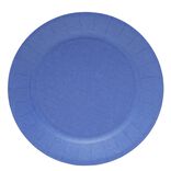 Lot de 10 assiettes en carton &Oslash;23cm bleu nuit