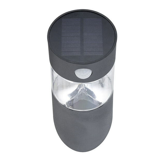 Applique murale solaire LED inox d&eacute;tecteur de mouvement H23,2cm