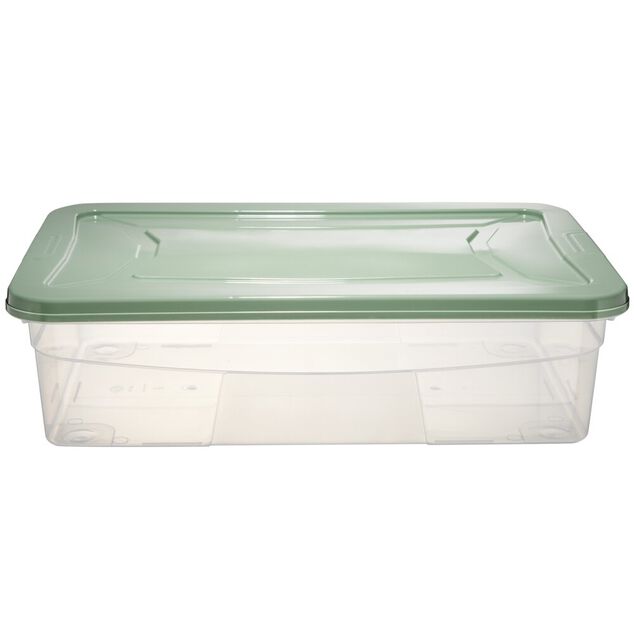 Box dessous de lit transparent et vert 30L