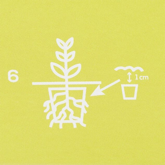 Kit serre plantes aromatiques pr&ecirc;t &agrave; pousser