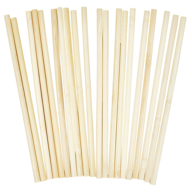 Paille r&eacute;utilisable en bambou x20