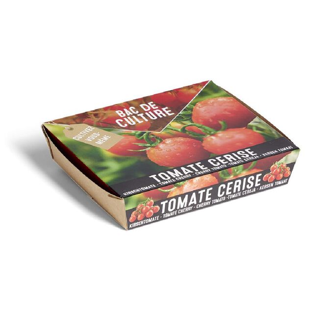 Bac de culture tomate cerise