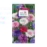 Semence bleuet balle