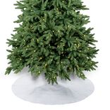 Tour de sapin blanc neige