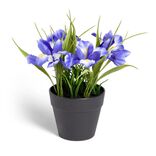 Plante artificielle fleurs bleues H14cm