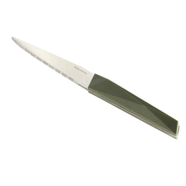 Couteau &agrave; steack inox manche plastique (3 mod&egrave;les)