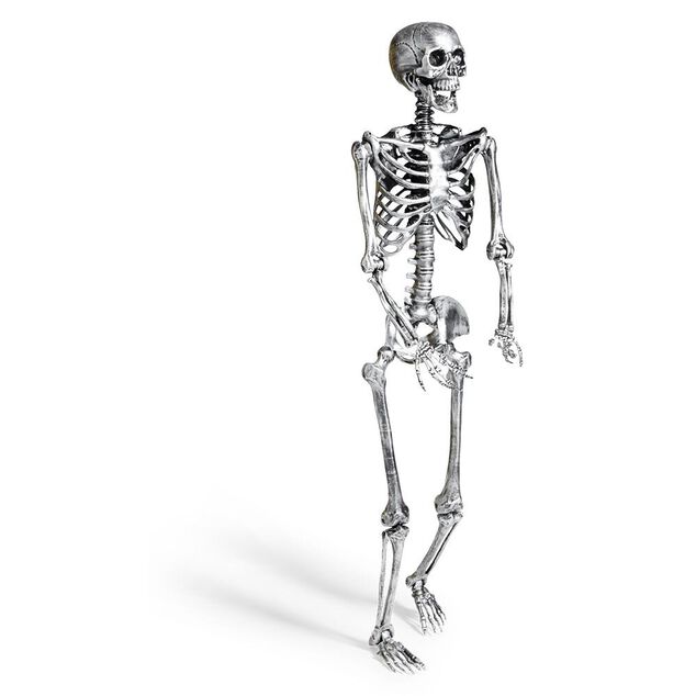Squelette articul&eacute; Halloween H150cm plastique argent&eacute;
