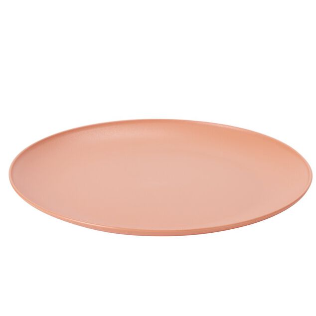 Assiette plate ronde plastique &Oslash;23,5cm (3 mod&egrave;les)