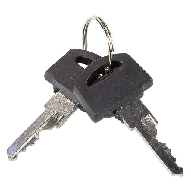 C&acirc;ble antivol spirale avec 2 cl&eacute;s incluses