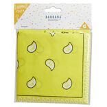 Bandana motif paisley (4 modèles)