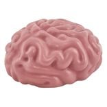 Cerveau anti stress rose