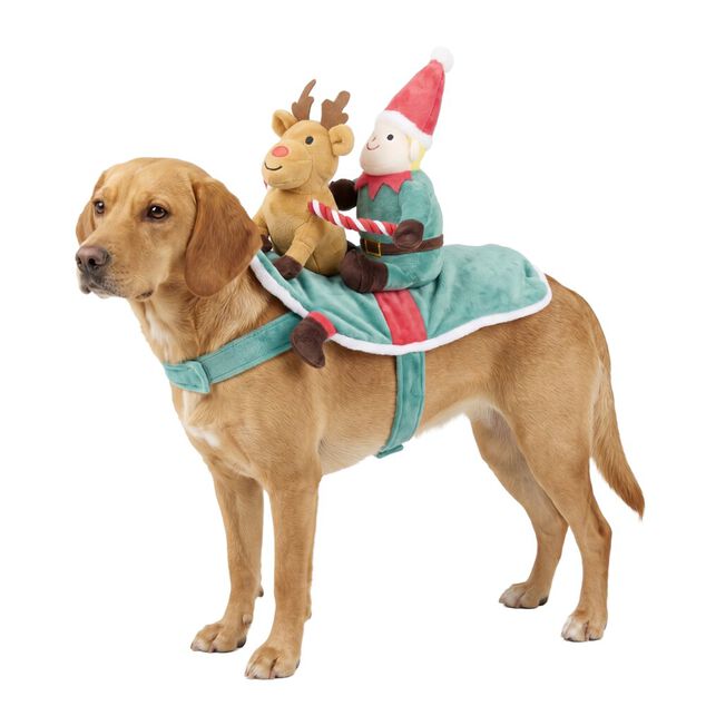D&eacute;guisement pour chien lutin et son renne polyester L60X22XH15 cm TL