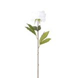 Fleur artificielle 1 tige pivoine blanche H66cm