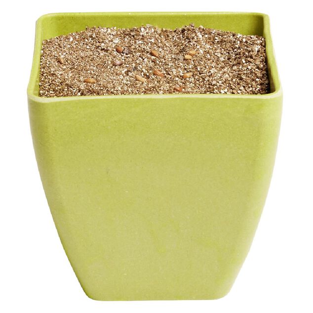 Le kit du mini jardinier pots en bambou substrat et graines