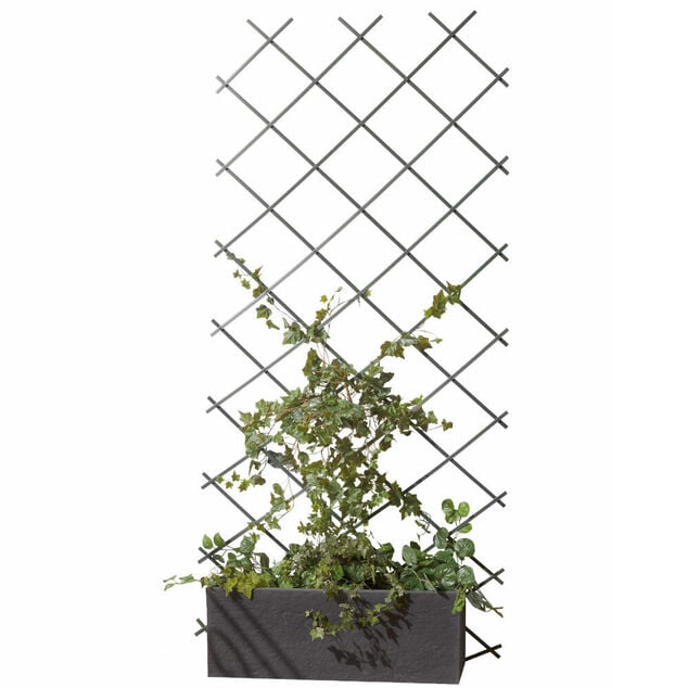 Treillis extensible plastique