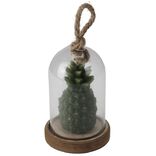 Bougie ananas sous cloche Collection Cara&iuml;bes