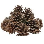 D&eacute;coration pomme de pin - Filet de 220g