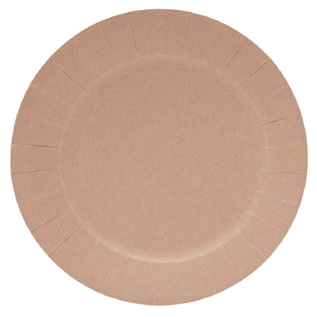 Lot de 10 assiettes en carton Ø18cm rose
