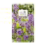 Semence fusee douce violet