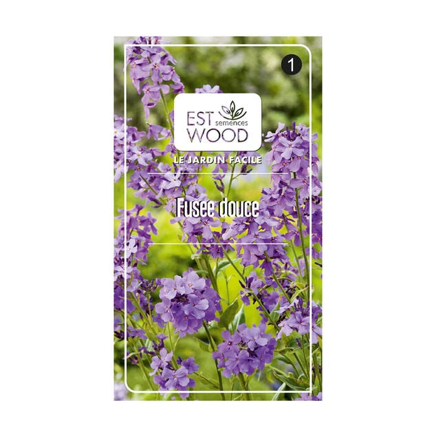 Semence fusee douce violet
