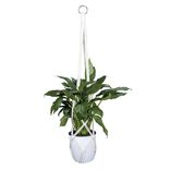Kit suspension pour plante macramé coton beige à faire soi-même
