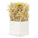 Bo&icirc;te de fleurs s&eacute;ch&eacute;es jaunes 9,5x9,5x9,5cm