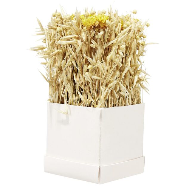 Bo&icirc;te de fleurs s&eacute;ch&eacute;es jaunes 9,5x9,5x9,5cm