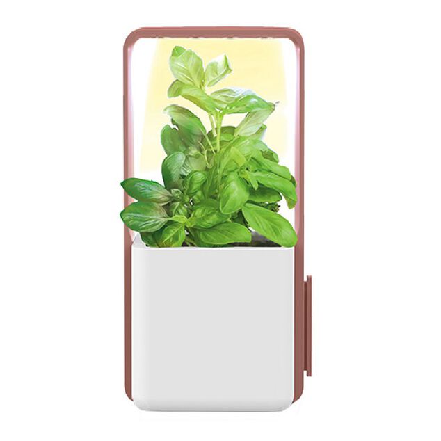 Potager int&eacute;rieur clipsable avec kit de d&eacute;marrage