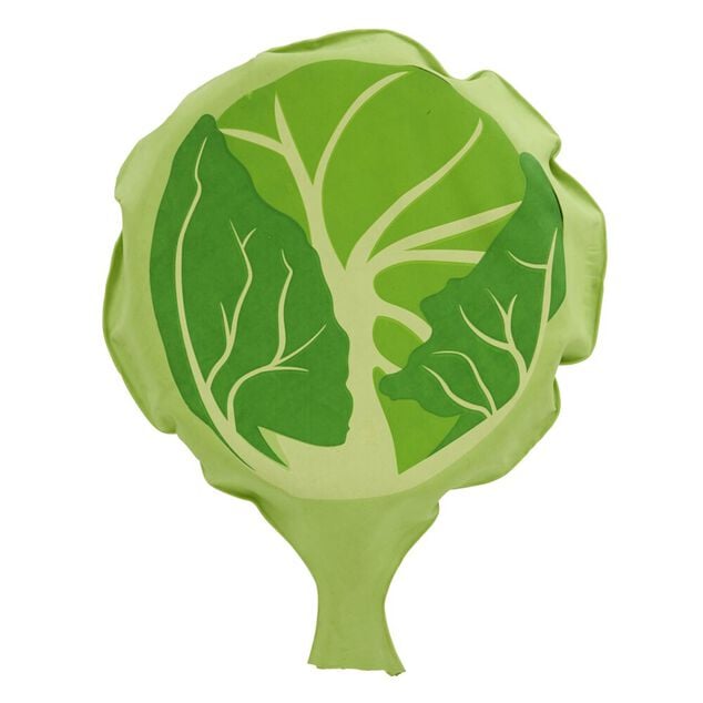 Coussin péteur choux vert
