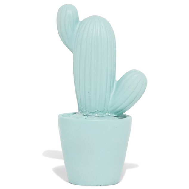 D&eacute;coration pot cactus