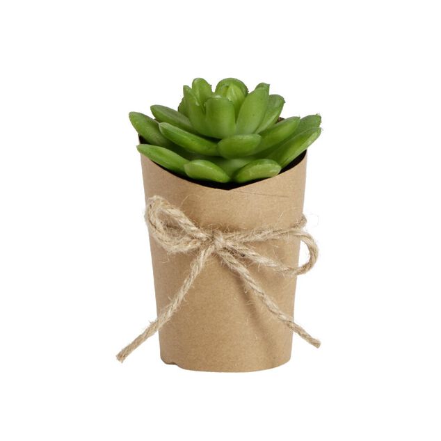 Plante artificielle en pot kraft succulente Ø5xH12cm - 3 modèles