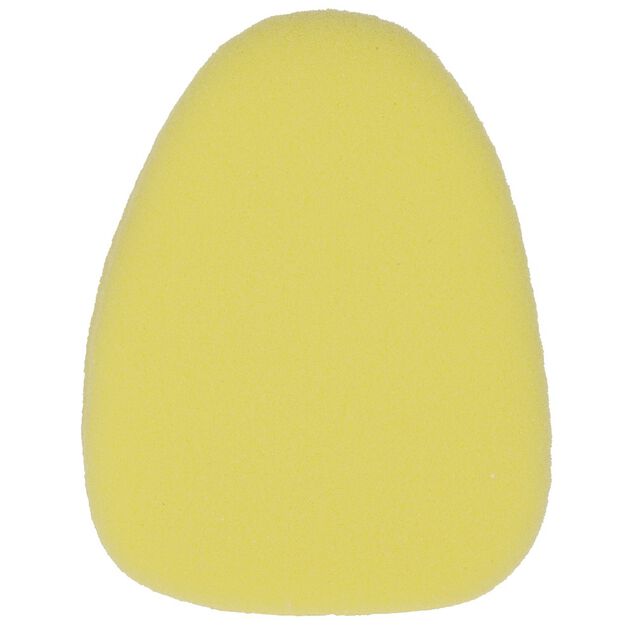 Recharge pour brosse à spray x2