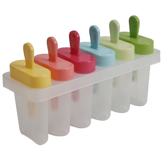 Moule &agrave; glace en plastique X 6