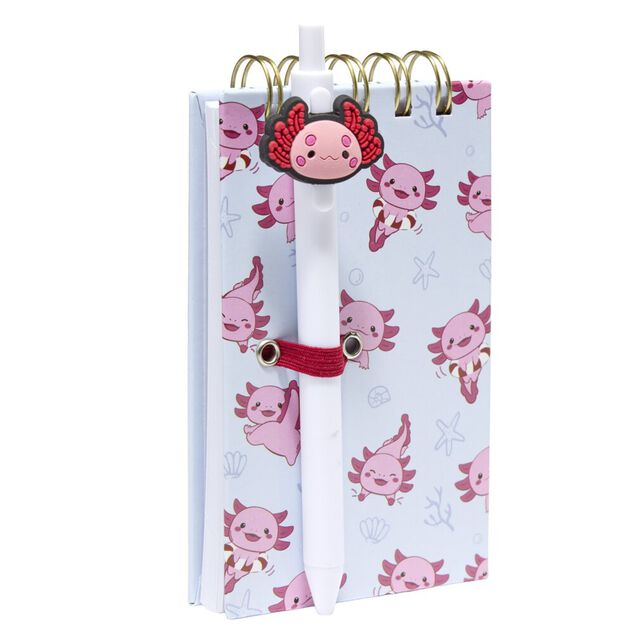 Carnet de notes avec stylo couverture multicolore 8x14,4cm (2 mod&egrave;les)