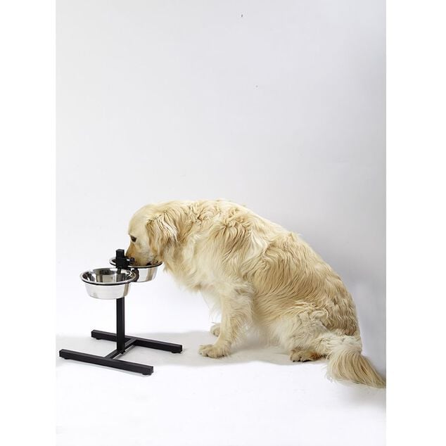 Gamelle double sur pied hauteur ajustable inox