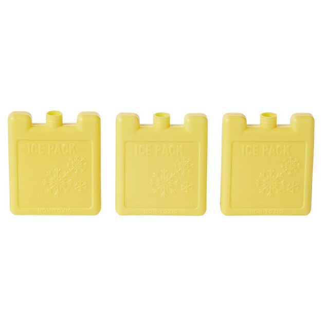 Bloc de glace x3 plastique 50ml (plusieurs mod&egrave;les)