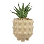 Plante grasse artificielle pot rond c&eacute;ramique beige &Oslash;12xH28cm (2 mod&egrave;les)