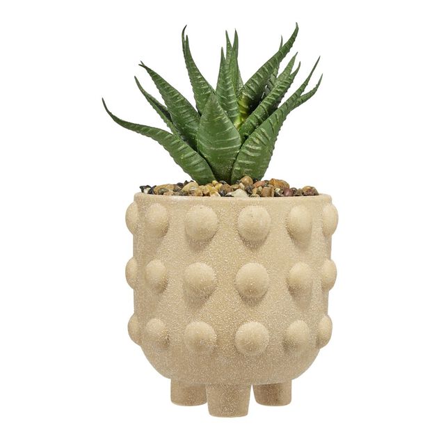 Plante grasse artificielle pot rond c&eacute;ramique beige &Oslash;12xH28cm (2 mod&egrave;les)