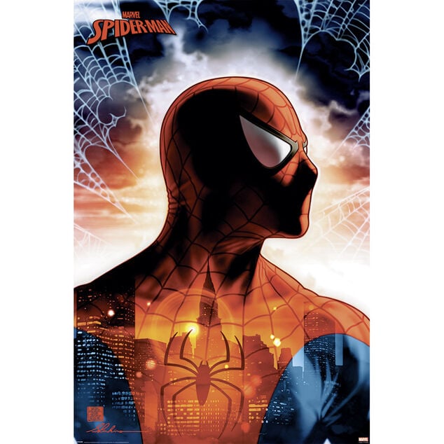 Poster Spider-Man - Protector of the City