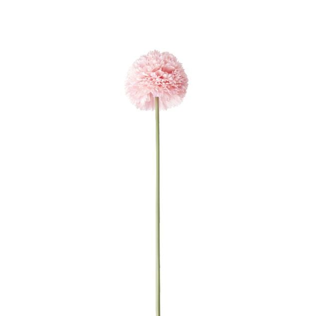 Fleur artificielle 1 tige allium rose H72cm