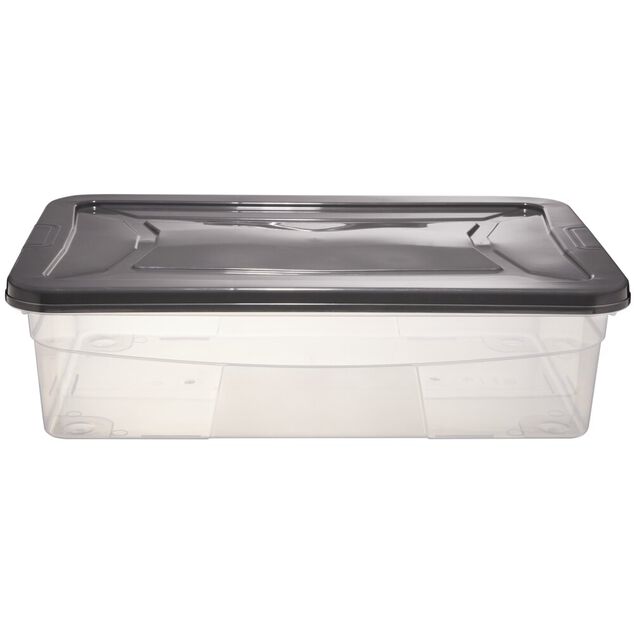 Box dessous de lit transparent et gris 30L