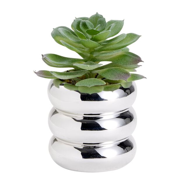 Plante grasse artificielle dans pot dolomite gris chrom&eacute; &Oslash;8xH13,5cm (3 mod&egrave;les)