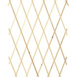 Barri&egrave;re extensible bois naturel