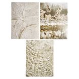 Affiche papier gris 30x40cm