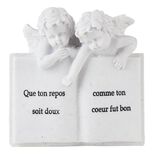 Plaque fun&eacute;raire livre + 2 anges r&eacute;sine blanc