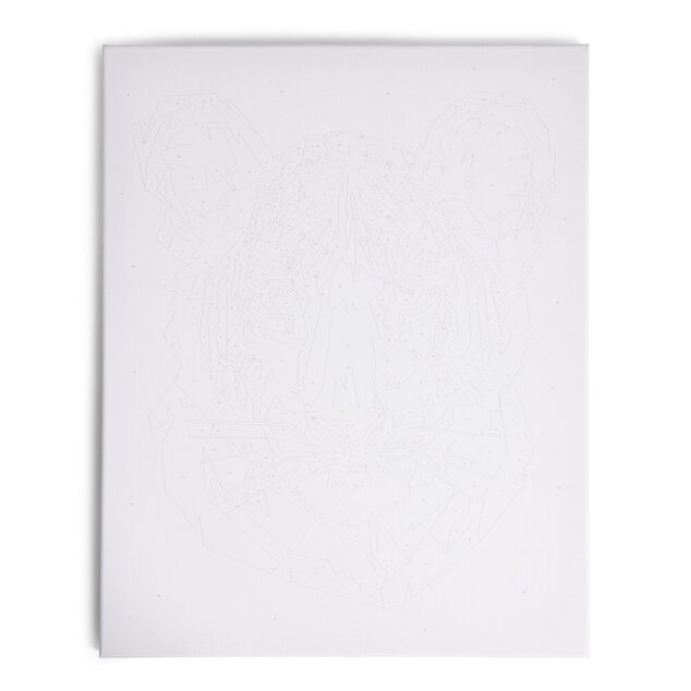 Peinture par num&eacute;ro 40x50cm avec peintures et pinceaux - 3 mod&egrave;les