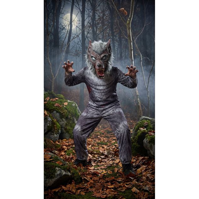 D&eacute;guisement Halloween enfant loup garou 3 pi&egrave;ces polyester gris 7/10ans