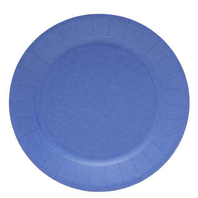 Lot de 10 assiettes en carton &Oslash;23cm bleu nuit
