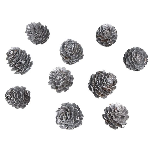 Pomme de pin à poser effet neige argentée x11